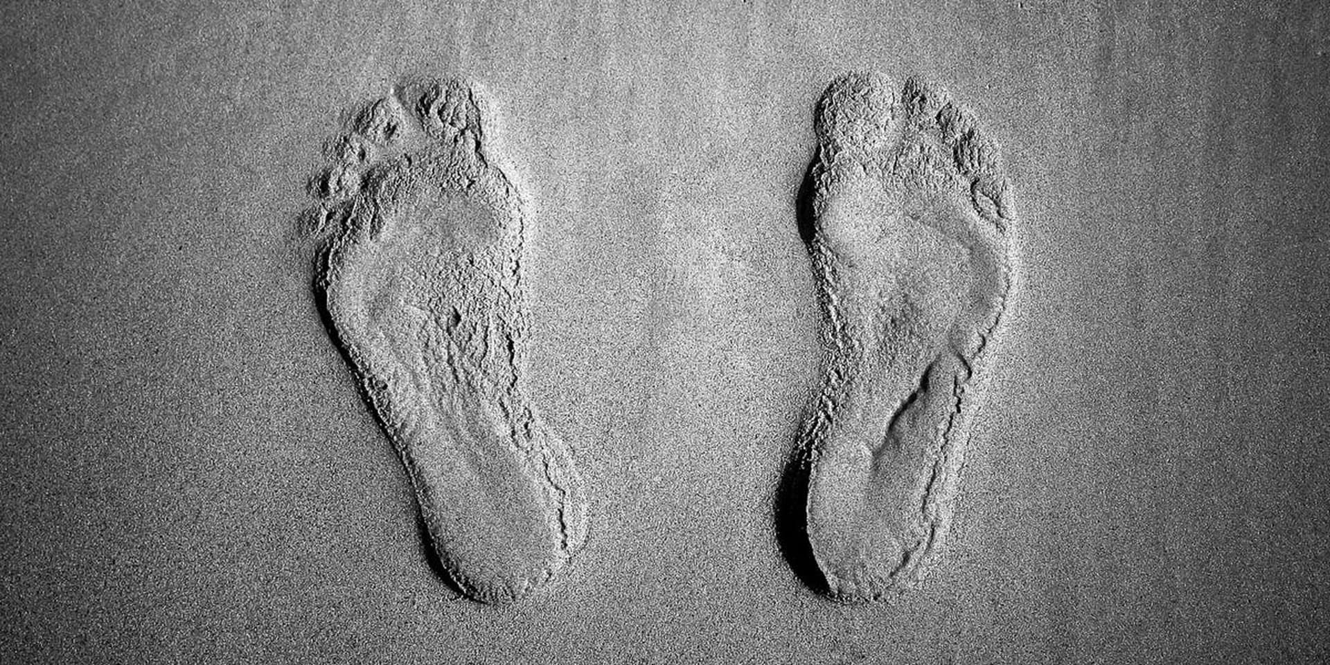 Archaeologists Found 115,000-Year-Old Human Footprints Where They Shouldn’t Be
